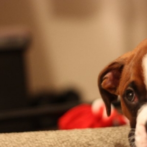 I AM SO BORED, PLAY WITH ME!