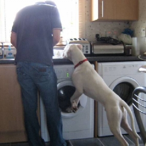 Nosy Oscar