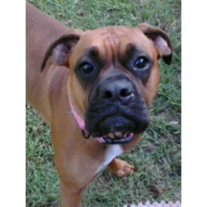 My Baby Girl Zevah