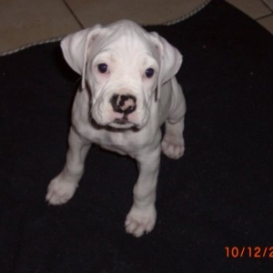 My new girl
