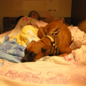 Bailey