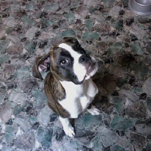 Heres Lola!