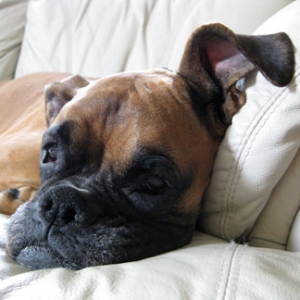 Sleep Time