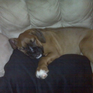 Our baby