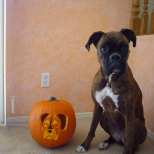 Clare and her pumpkin