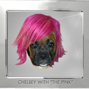 GHI-Chelsey