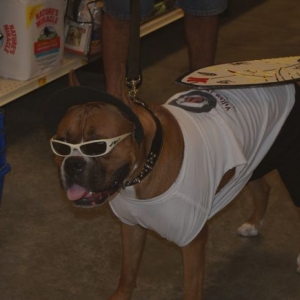 Hurley - The Surfer Dog