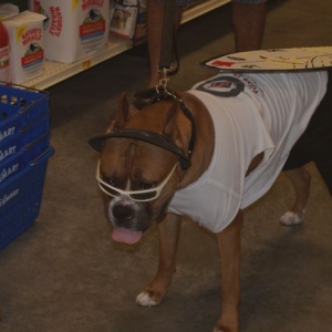 Hurley - Howl-o-ween