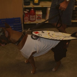 Hurley - Halloween 2009