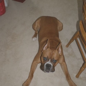 Big Boy Hurley