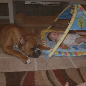 Hurley is watching Skylyn