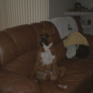 Hurley sitting on the couch