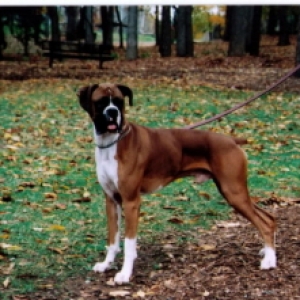 Cody November 2007