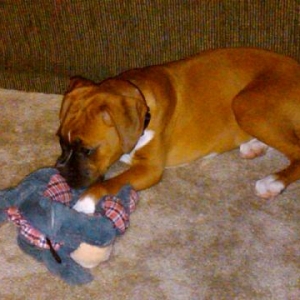 Laila bug with her first stuffed toy.