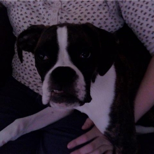 SNAGGLE TOOTH!