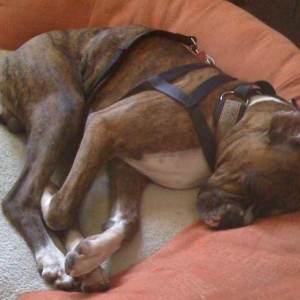 Pooped out at last!