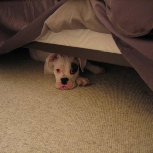 hiding3