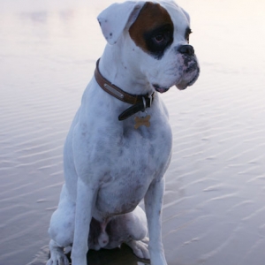 Luka6