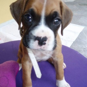 baby5