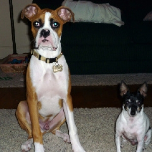 Aries and Zeus