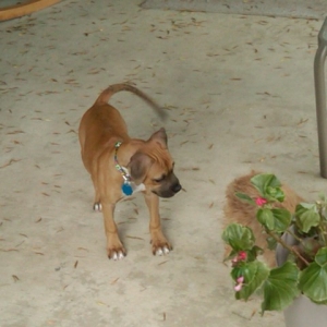 The day I got her