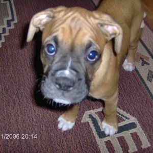 look into my eyes