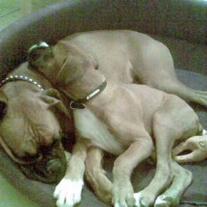 snuggles