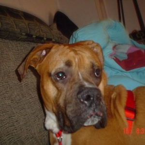 Axel