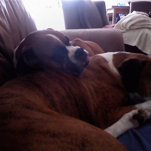 Kelseigh and Justice