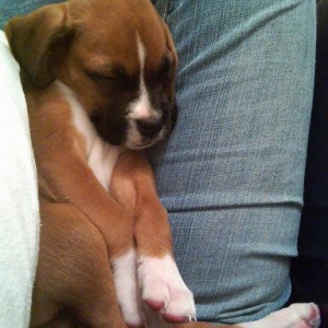 My Baby Girl @ 10 weeks