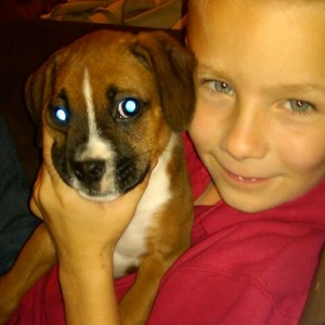 traispuppy