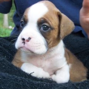 Our new baby girl