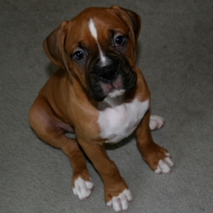 Zeus014