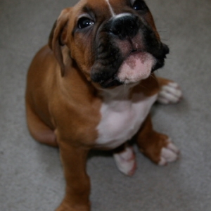 Zeus018