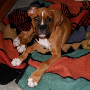 Zeus021