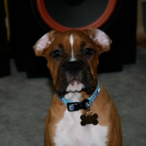 Zeus023