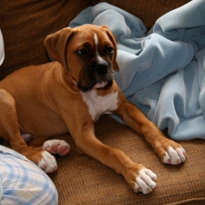 Zeus025