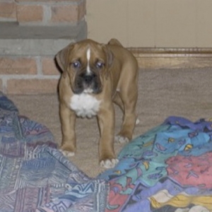 Zeus058