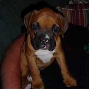 Just came home <3