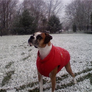 Our first snow 2009