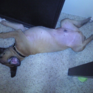 Sleep