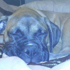 Sleep
