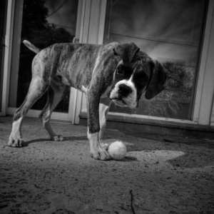 dillinger outside