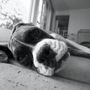 tired