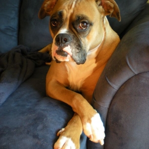 Sitting Pretty