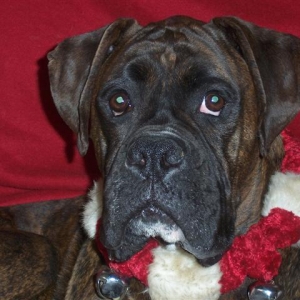 Syd_3_Years_9_Months_Old