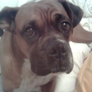 buub