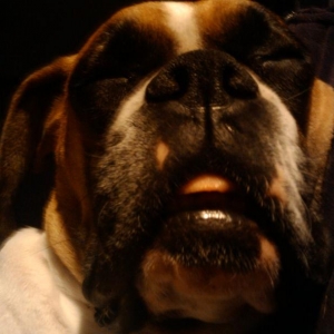 Molly Super Sleeping!!