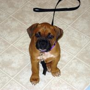 Baby Zoe