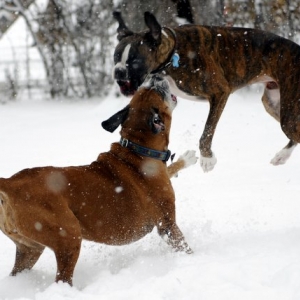 Cold Play